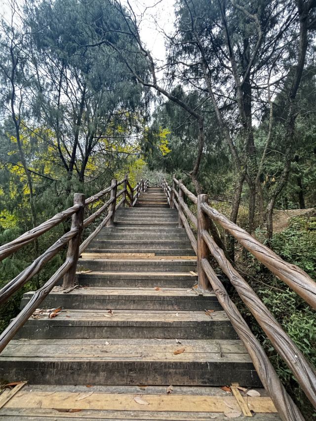 剑门关景区旅行图片 4