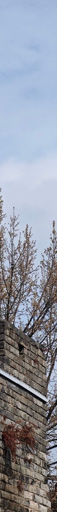 台州府城墙-临海-旧爱鱼香肉丝