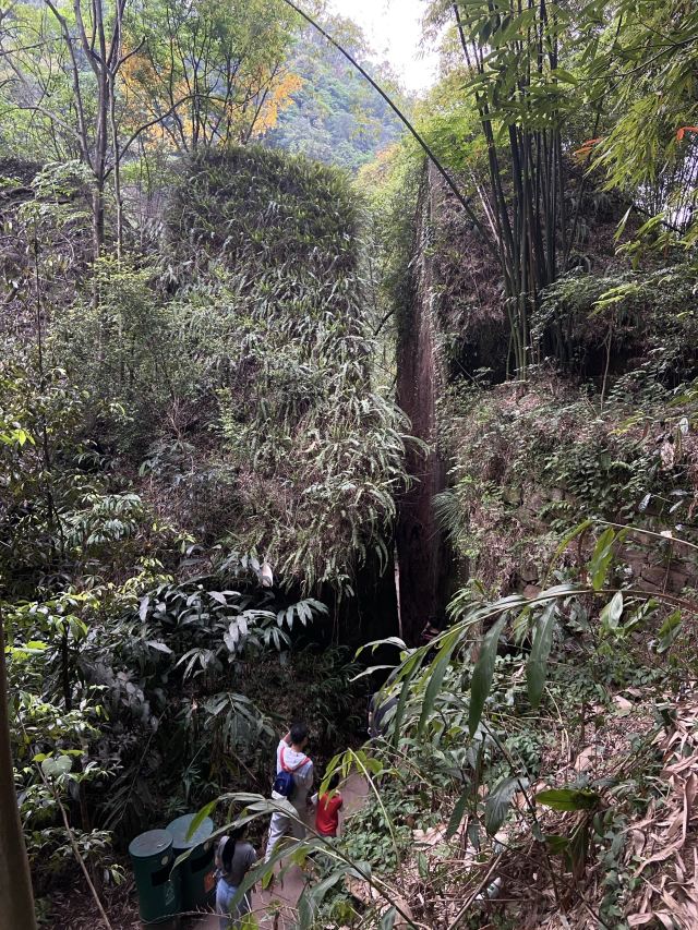 中岩寺景区旅行图片 8