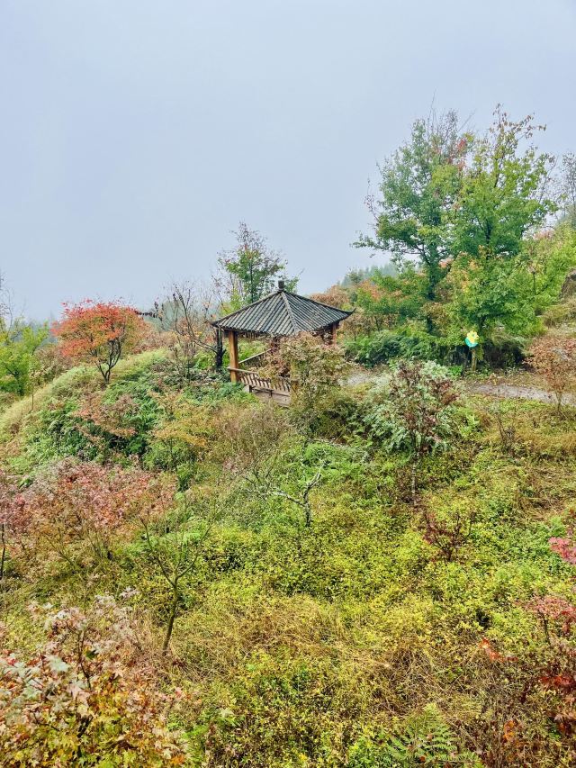 川西红枫岭旅行图片 2