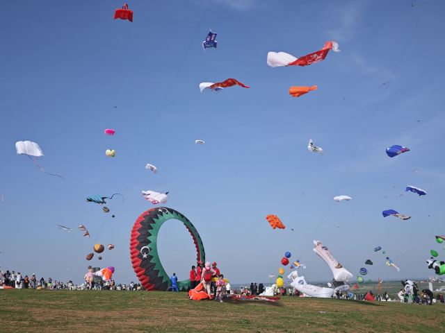 世界风筝公园旅行图片 4