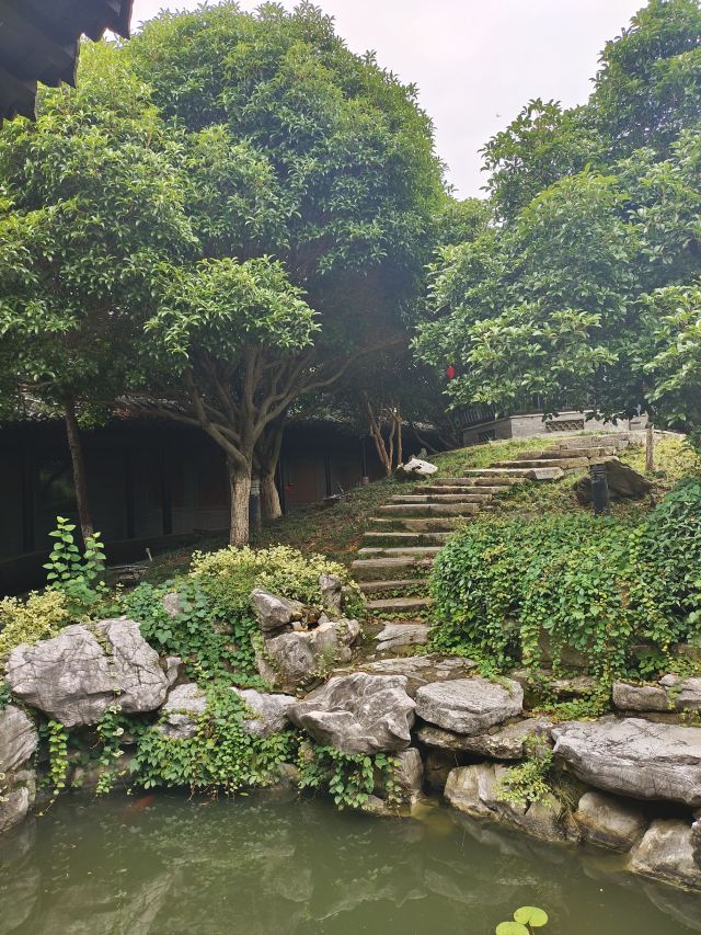 口岸雕花楼景区旅行图片 3