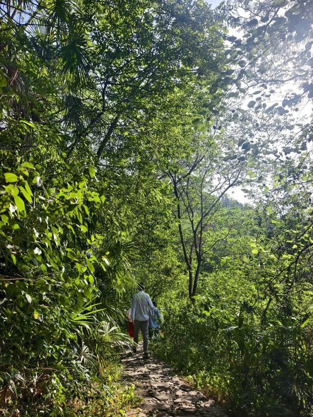 第一山景区旅行图片 8