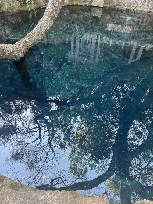 蝴蝶泉旅行图片 2
