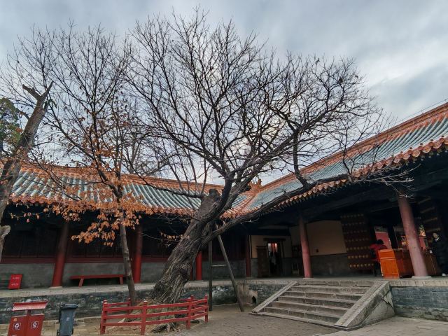孔庙旅行图片 7