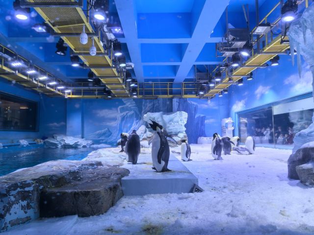 郑州海昌海洋公园旅行图片