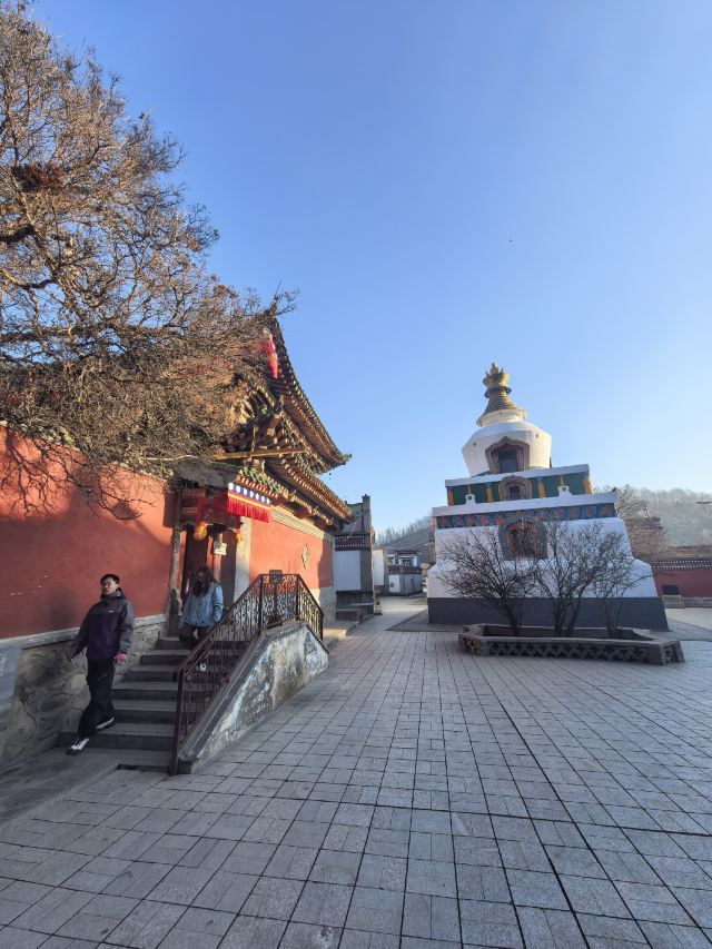 塔尔寺旅行图片 1