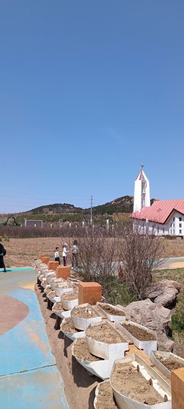 青岛西海岸生态观光园旅行图片 1