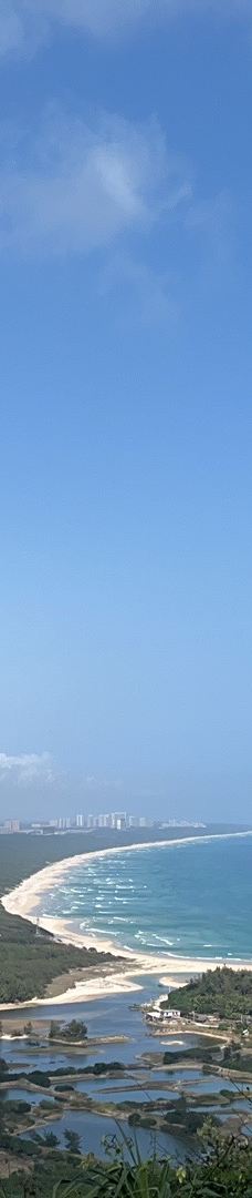 海南铜鼓岭景区-文昌-闽东绿茶