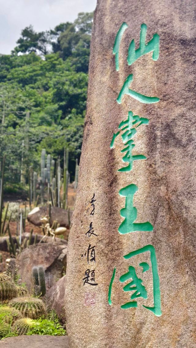 仙人掌王国旅行图片 1