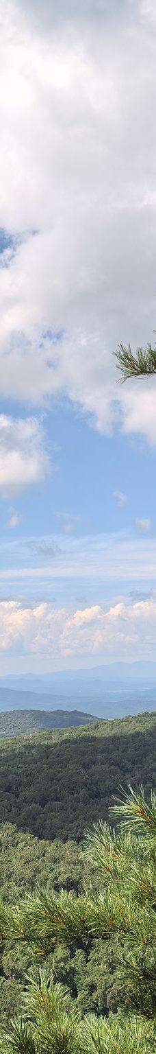 铧子山森林公园-通河-YoYo_8X6R8K0R