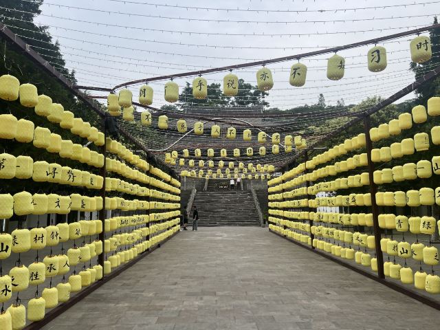 第一山景区旅行图片 4