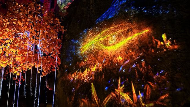 芦笛景区旅行图片 6