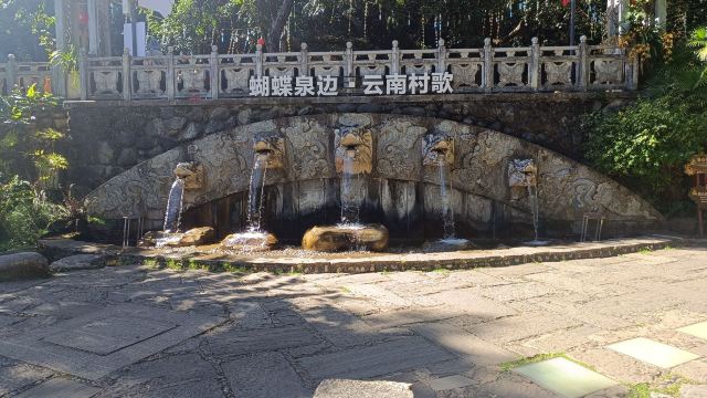 蝴蝶泉旅行图片 2