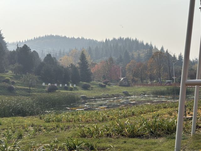 秦岭国家植物园旅行图片 5