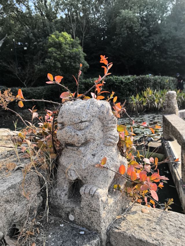 上海韩湘水博园旅行图片 3