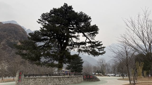 中国秦岭终南山世界地质公园旅行图片 1