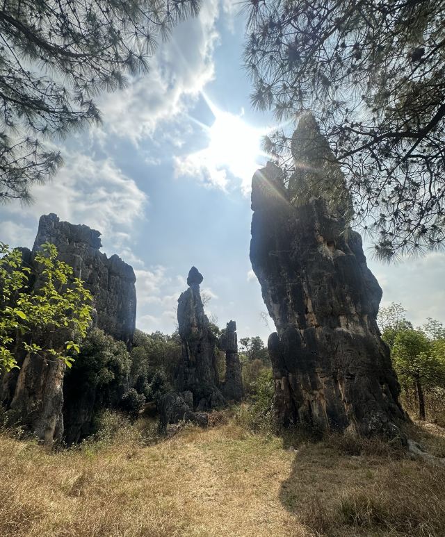 石林风景区旅行图片 3