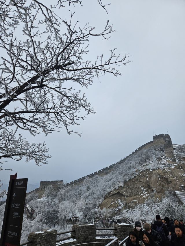 八达岭长城旅行图片 2