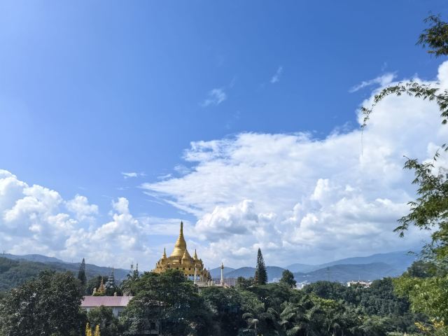 西双版纳独树成林景区旅行图片 1