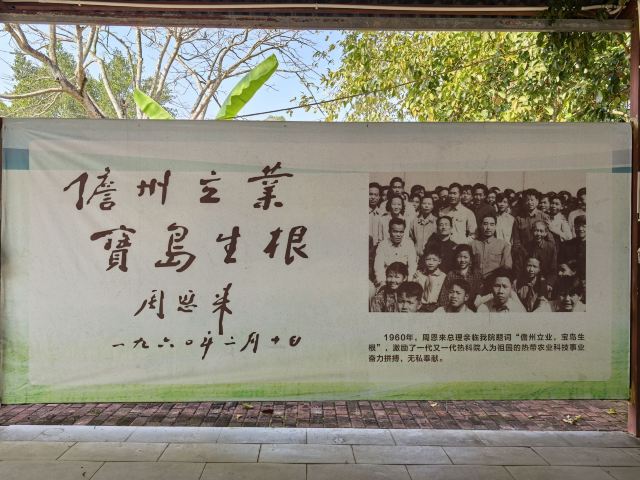 海南热带植物园旅行图片 9
