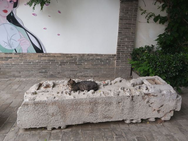 河间府署旅行图片 4