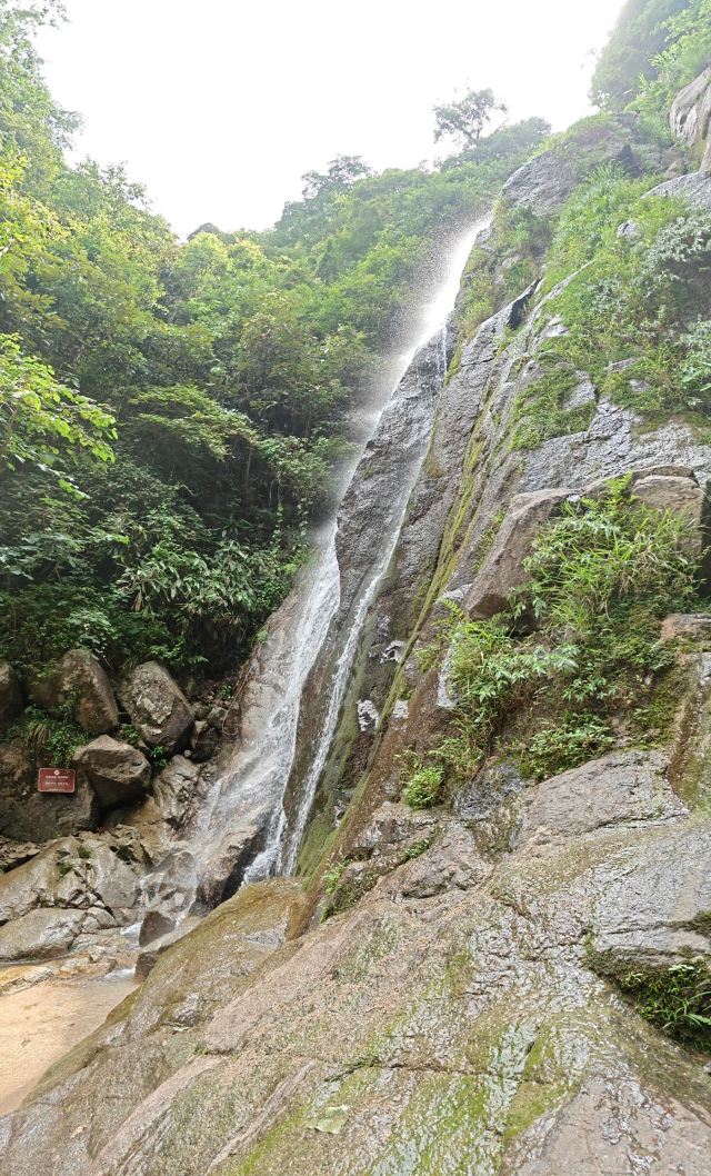炎陵县神农谷国家森林公园旅行图片 7