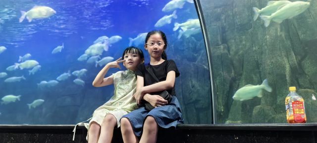 曲江海洋极地公园旅行图片 1