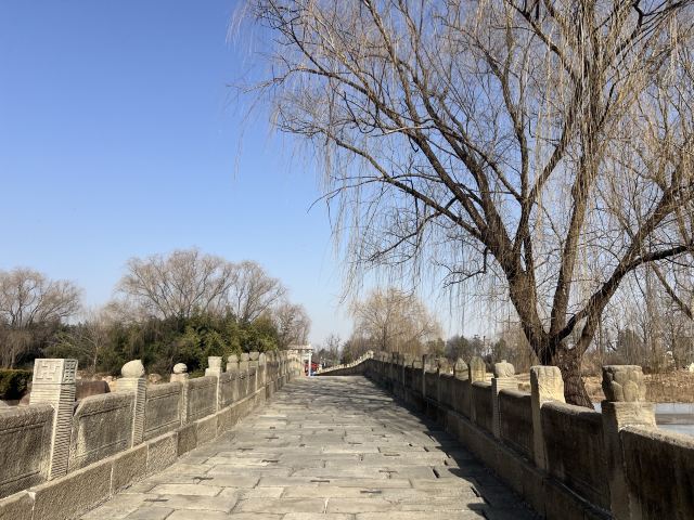 司马迁祠景区旅行图片 1