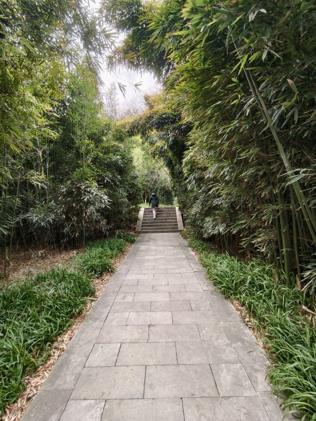 南山风景区旅行图片 4