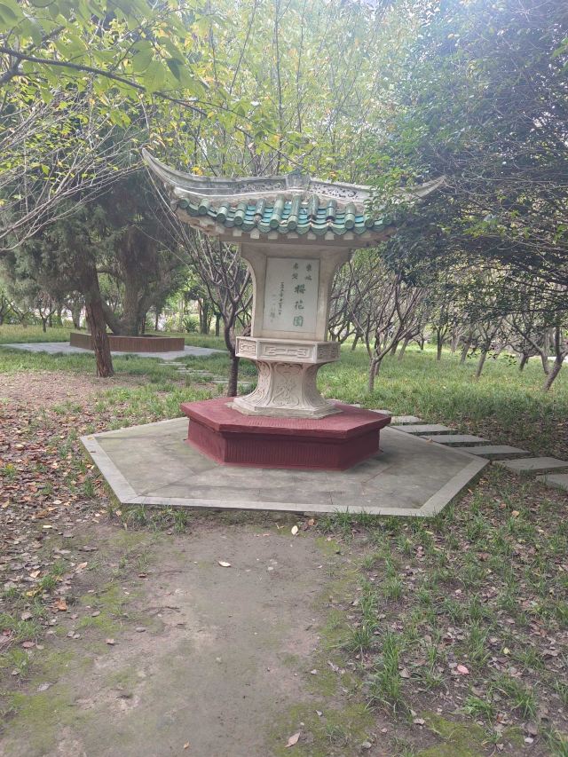 安徽飞旗寨风景区旅行图片 2