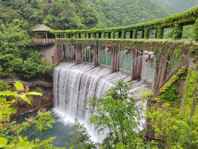 五龙河风景区旅行图片