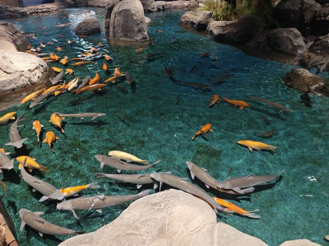 中国·江豚湾旅行图片 6
