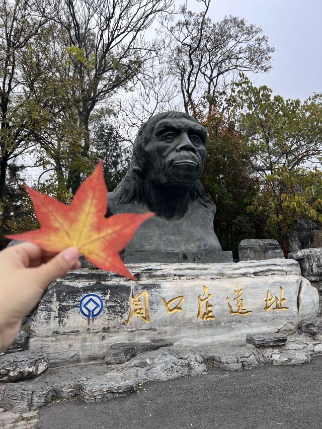 周口店遗址-北京猿人遗址旅行图片 7
