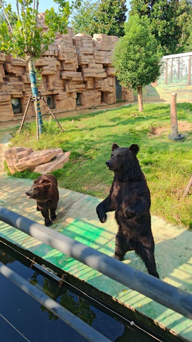 皖南野生动物园旅行图片 1