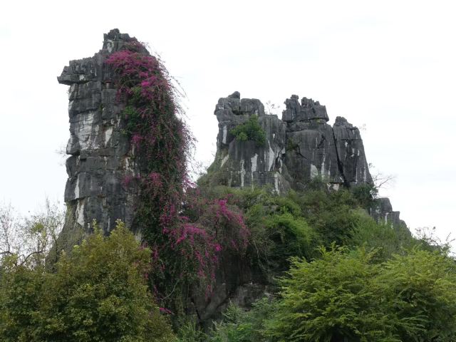 七星景区旅行图片 1
