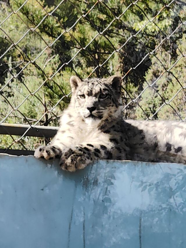 西宁野生动物园旅行图片 3