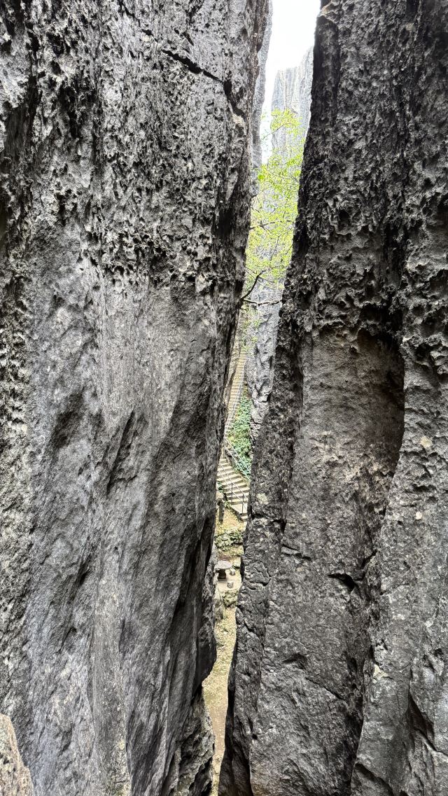 石林风景区旅行图片 7