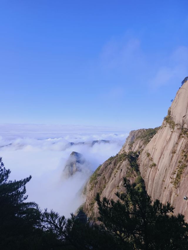 黄山风景区旅行图片 5