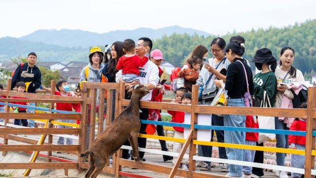 江西野狼谷景区旅行图片 5