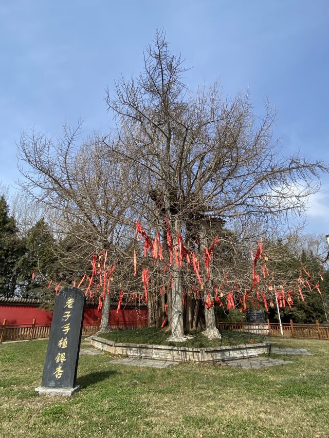 终南山古楼观历史文化景区旅行图片 1