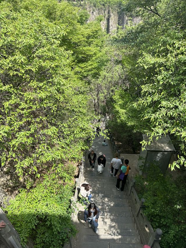 藏山旅游风景区旅行图片 6