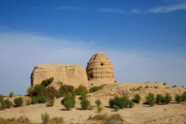 锁阳城遗址旅行图片 1