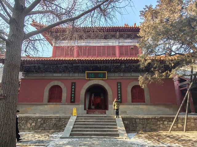 岱庙旅行图片 3