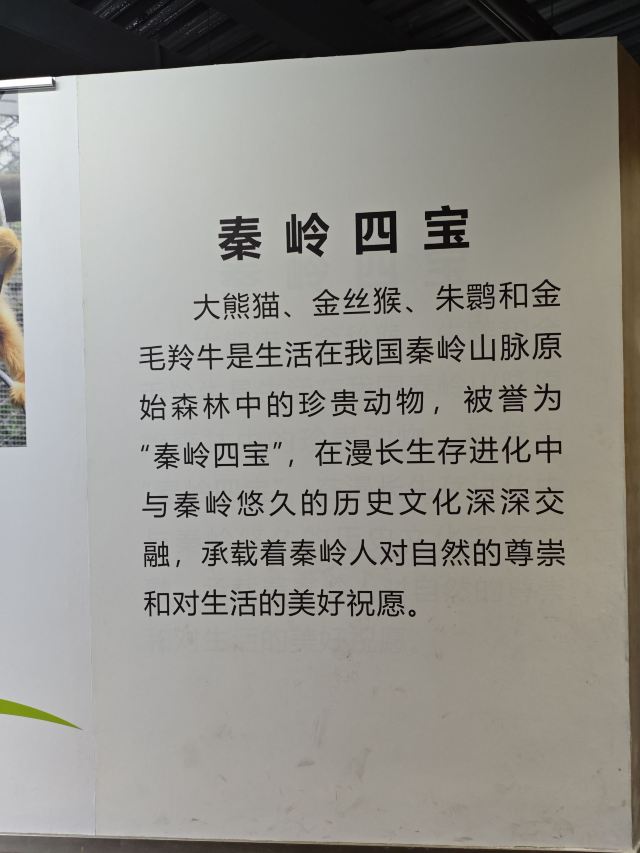 西安秦岭野生动物园旅行图片 1