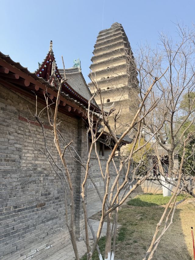 西安博物院旅行图片 1