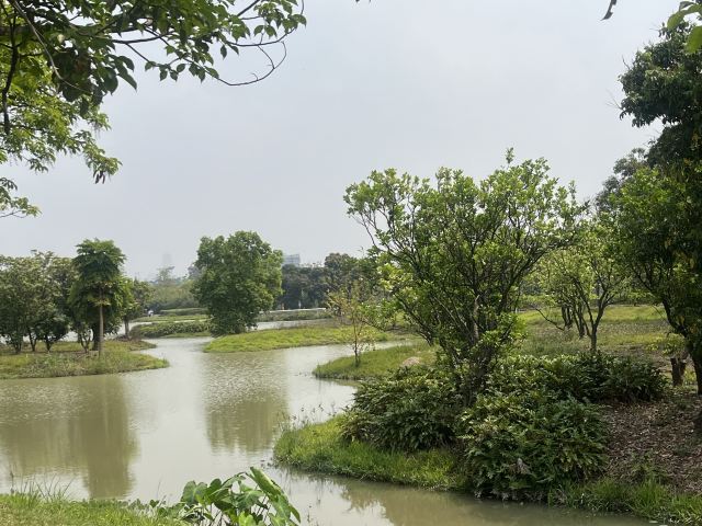 广州海珠国家湿地公园旅行图片 4