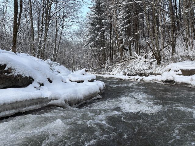长白山西麓白溪全域漂流风景区旅行图片 1