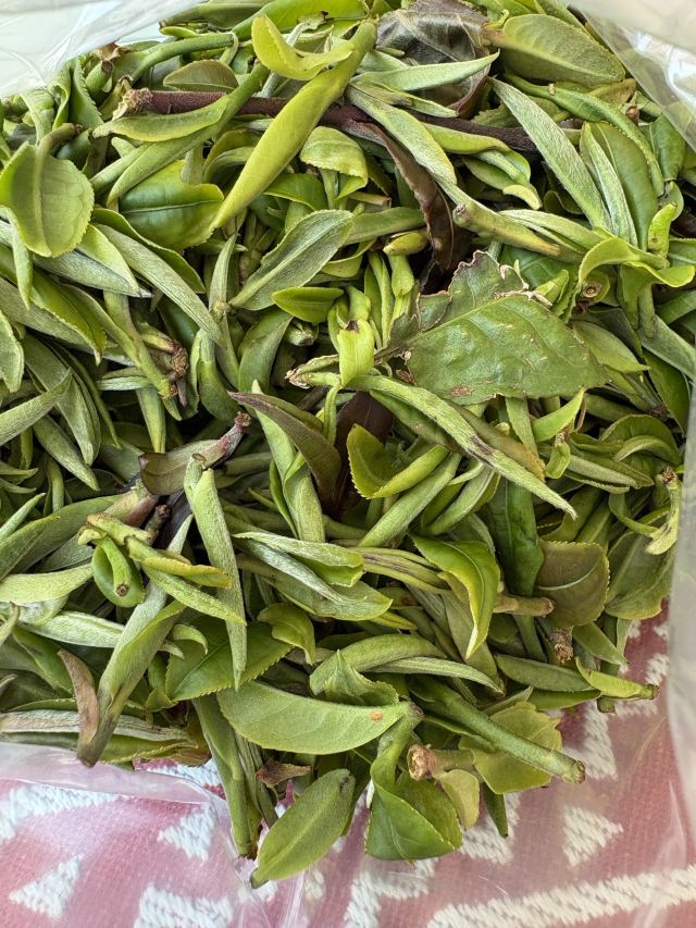 中华普洱茶博览苑旅行图片 3