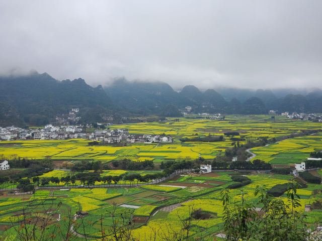 万峰湖红椿船舶旅游乘船区旅行图片 3